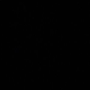 Meet your Posher, Lochie